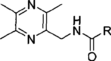 Tetramethylpyrazine acidamides derivates, preparation method and medicament composition and application