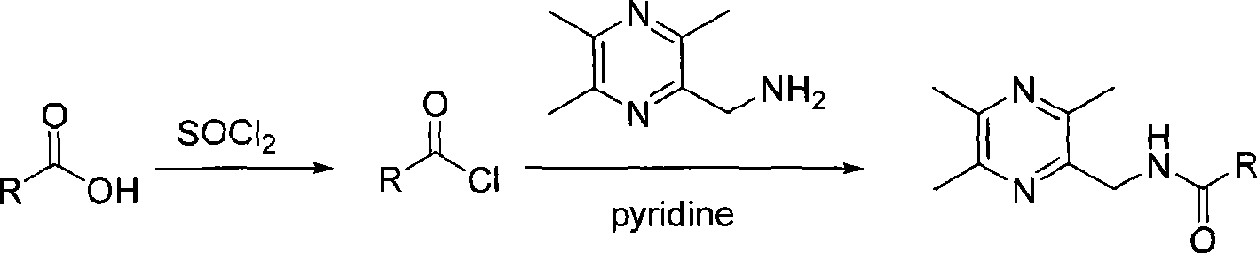 Tetramethylpyrazine acidamides derivates, preparation method and medicament composition and application