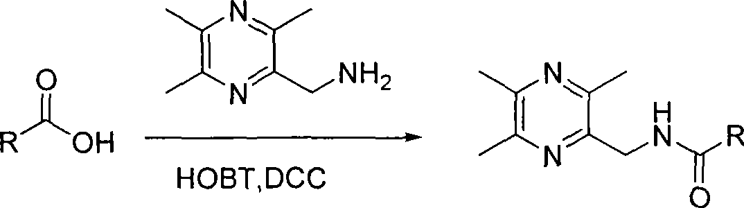 Tetramethylpyrazine acidamides derivates, preparation method and medicament composition and application