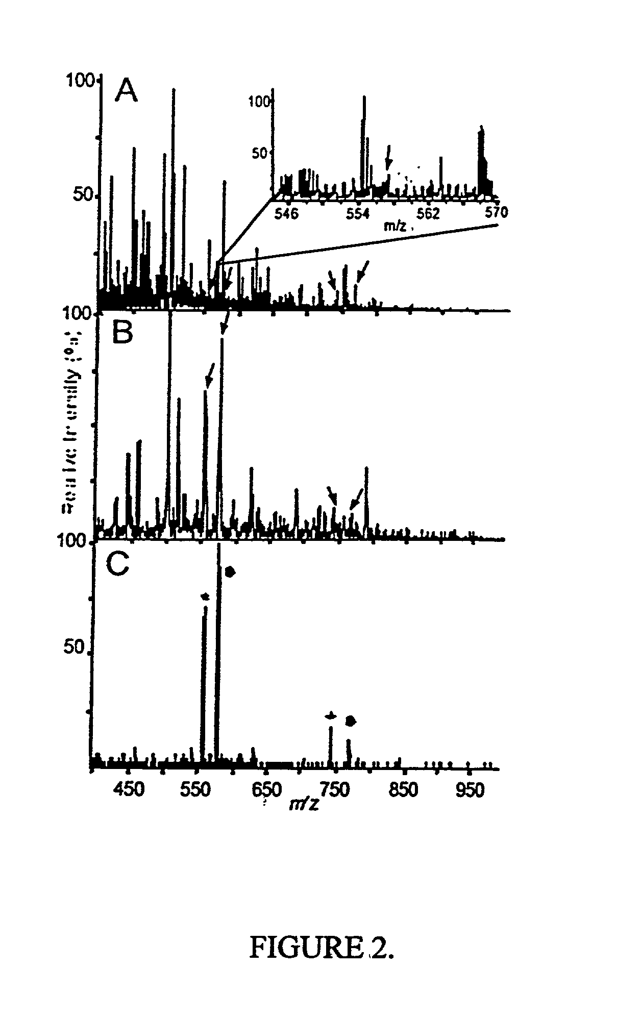 Detection of modified amino acids by mass spectrometry