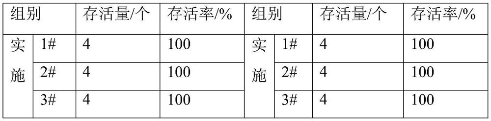 Grafting cultivation method of Cercis repens