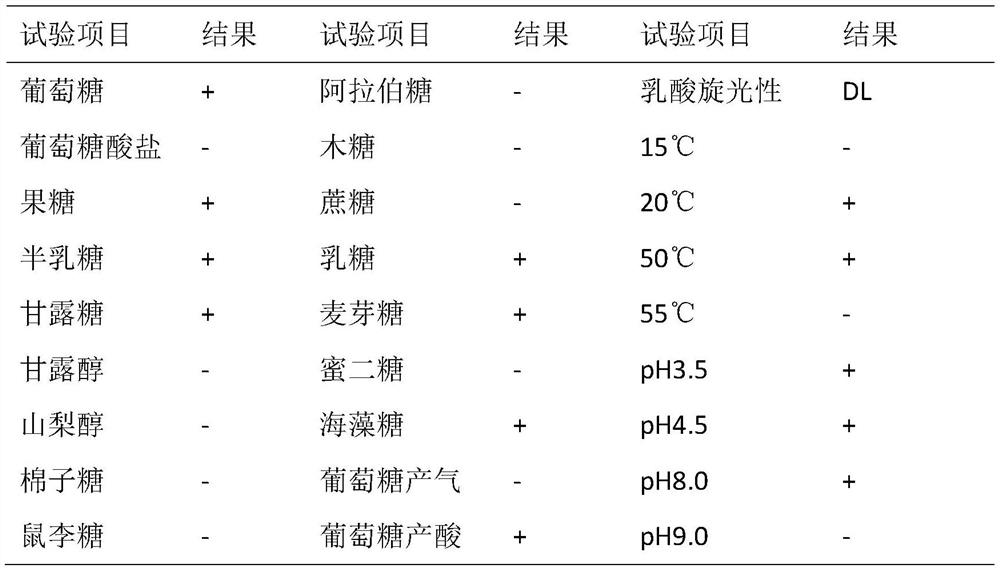 Lactobacillus helveticus strain and application thereof