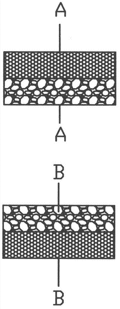 Ion separation device and ion separation method formed by magnetic field and ion exchange membranes