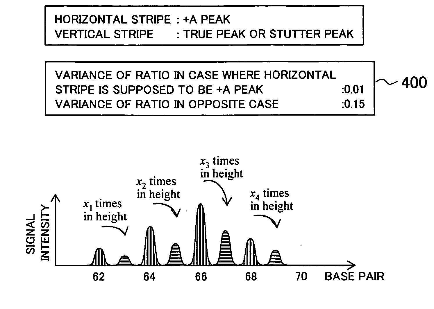 Gene information processing apparatus and gene information display apparatus