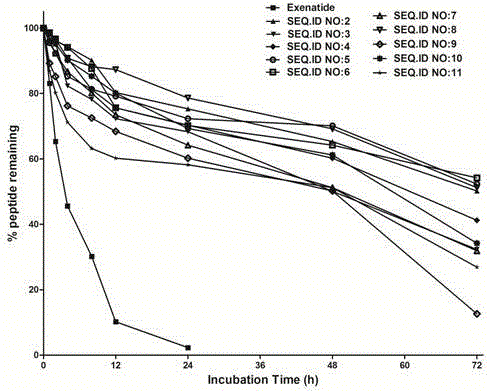 Novel peptide conjugate of African clawed frog GLP-1 (glucagon like peptide-1), as well as application thereof