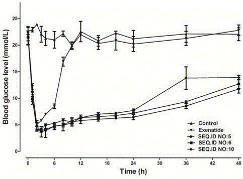 Novel peptide conjugate of African clawed frog GLP-1 (glucagon like peptide-1), as well as application thereof