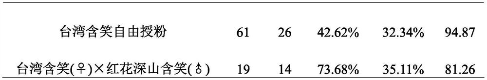 Method for crossbreeding michelia compressa and michelia maudiae