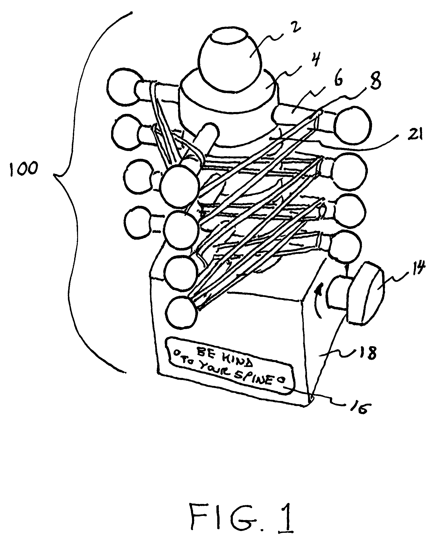 Human spine model