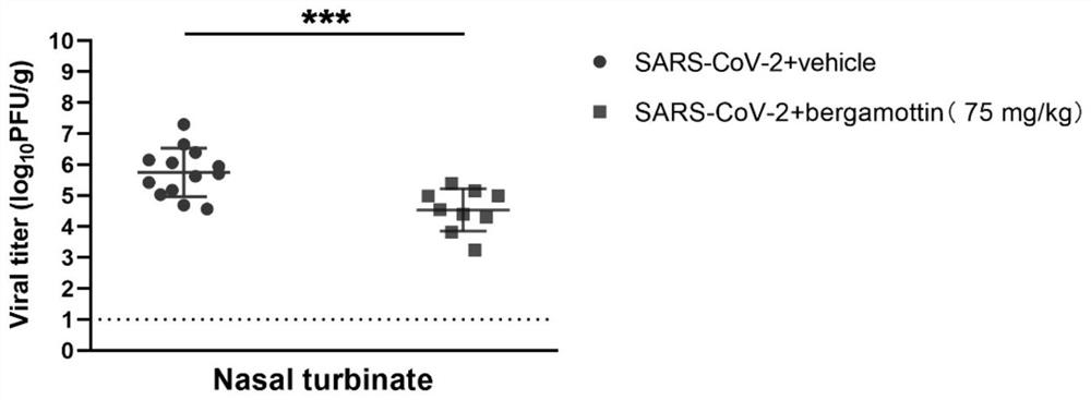 Application of bergamottin in preparation of antiviral product for treating or preventing novel coronavirus infection