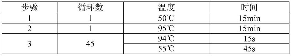 Swab nucleic acid sample releaser and application thereof