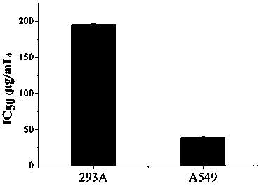 Lycium barbarum polysaccharide modified nano particle preparation and anti-tumor activity research