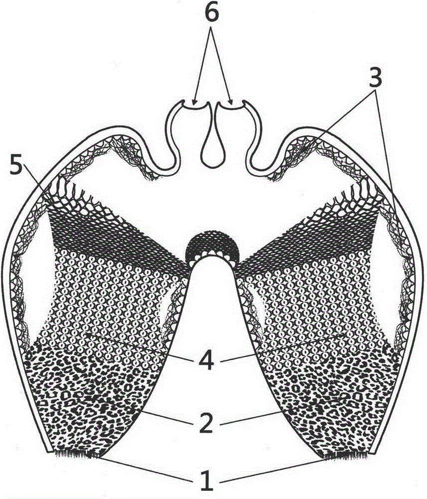 Air purifying device imitating nasopharynx