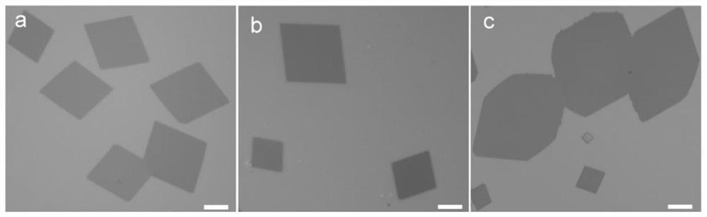 Preparation method and application of molybdenum carbide two-dimensional material