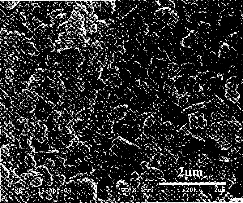 Liquid amonia pressurized precipitation and hydrothermal modification process for preparing magnesium hydroxide fire retardant