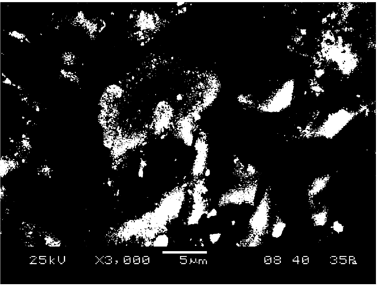 Composite ionic adsorption material and preparation method thereof