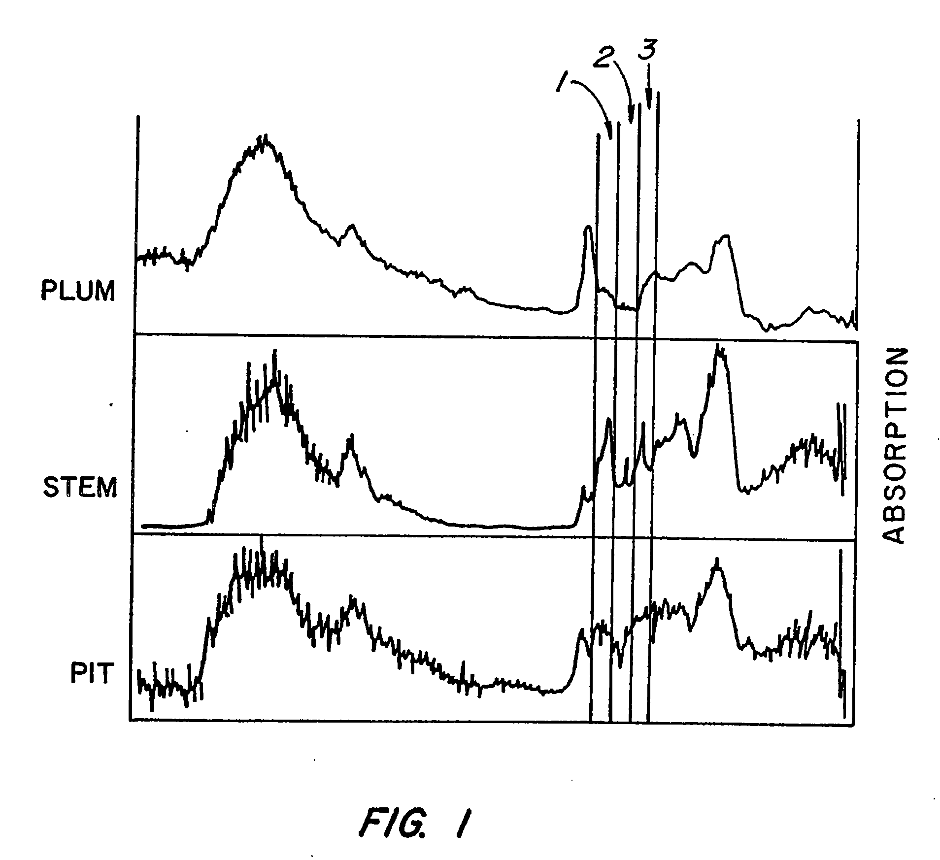 Disinfection, destruction of neoplastic growth, and sterilization by differential absorption of electromagnetic energy