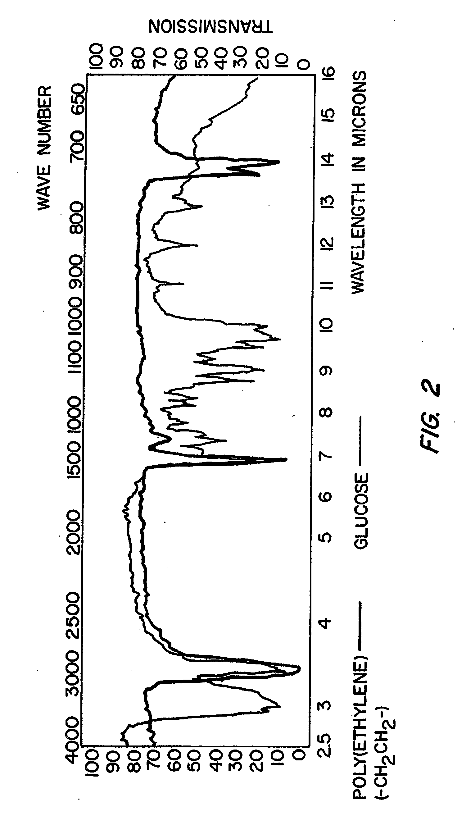 Disinfection, destruction of neoplastic growth, and sterilization by differential absorption of electromagnetic energy