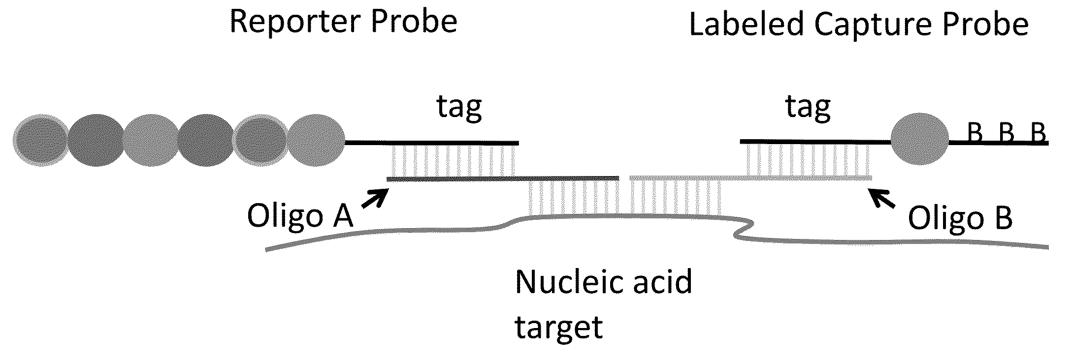 Multiplexable tag-based reporter system