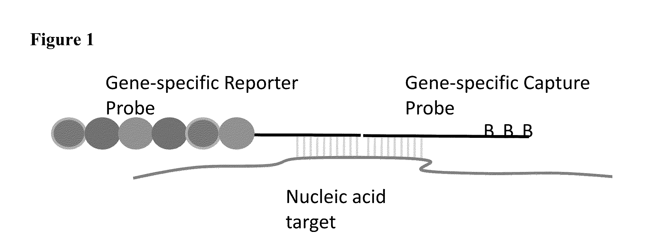 Multiplexable tag-based reporter system