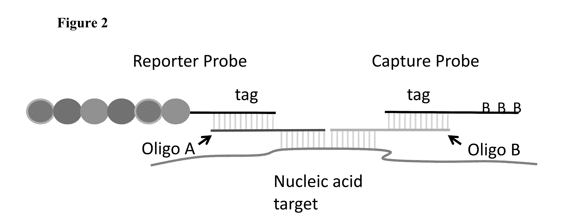 Multiplexable tag-based reporter system