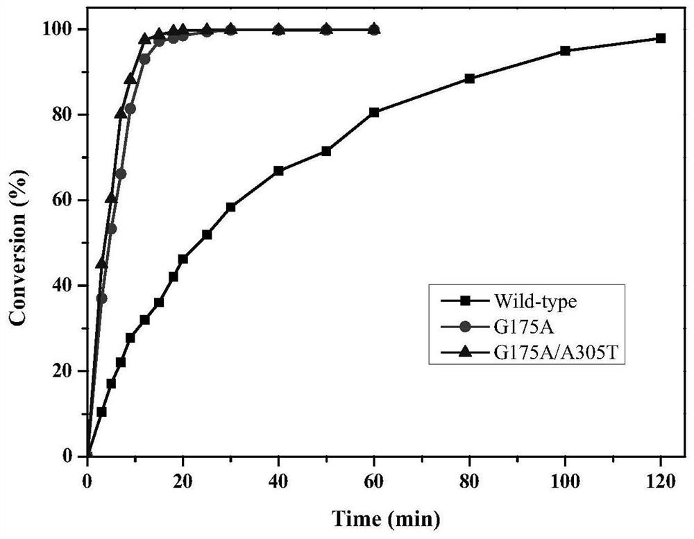 A kind of pantophyte amidase mutant, gene, engineering bacteria and application thereof