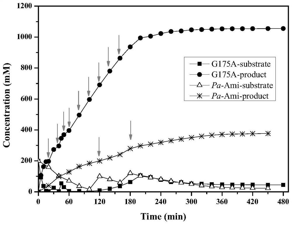 A kind of pantophyte amidase mutant, gene, engineering bacteria and application thereof