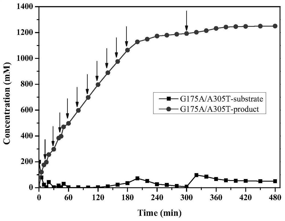 A kind of pantophyte amidase mutant, gene, engineering bacteria and application thereof