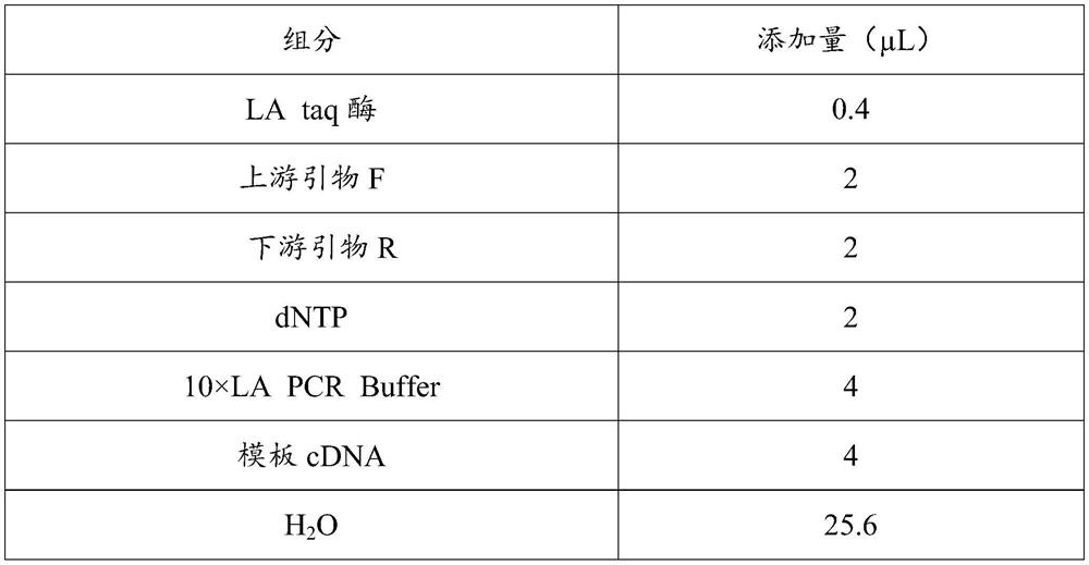 Application and application method of a kind of pcagp7-1 gene in regulating pear dwarfing