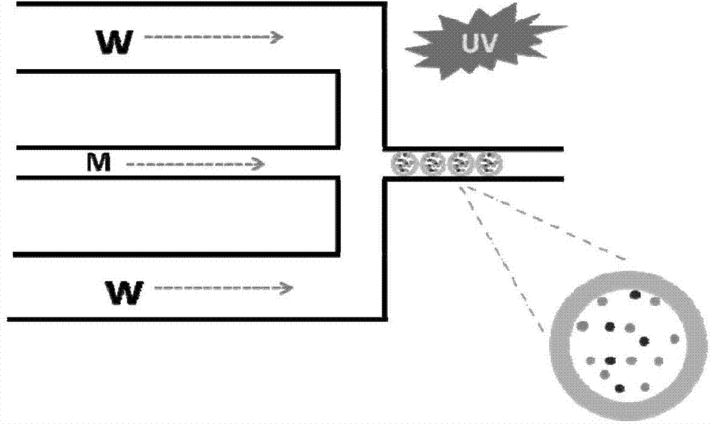 Method for preparing white fluorescent quantum dot composite particles by microfluid method