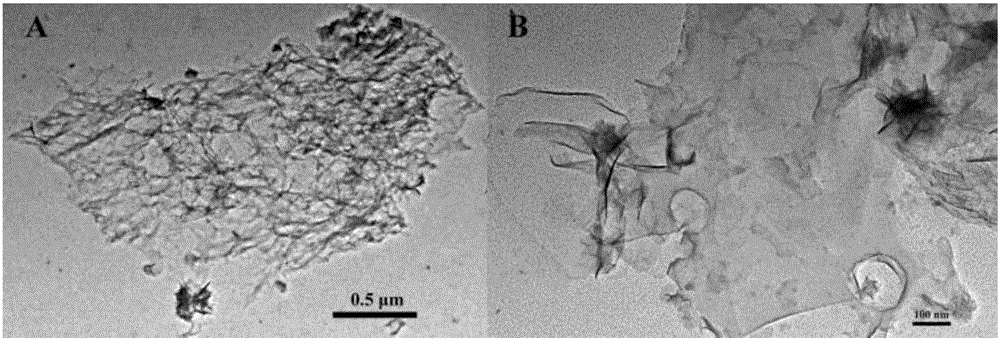 Biochar-supported magnetic substance composite adsorption material, and preparation method and application method thereof