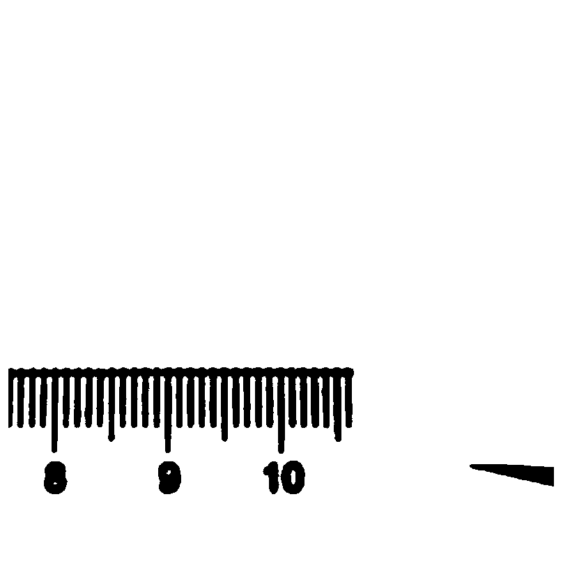 Preparation method and application of boron nitride/polyoxyethylene composite solid electrolyte