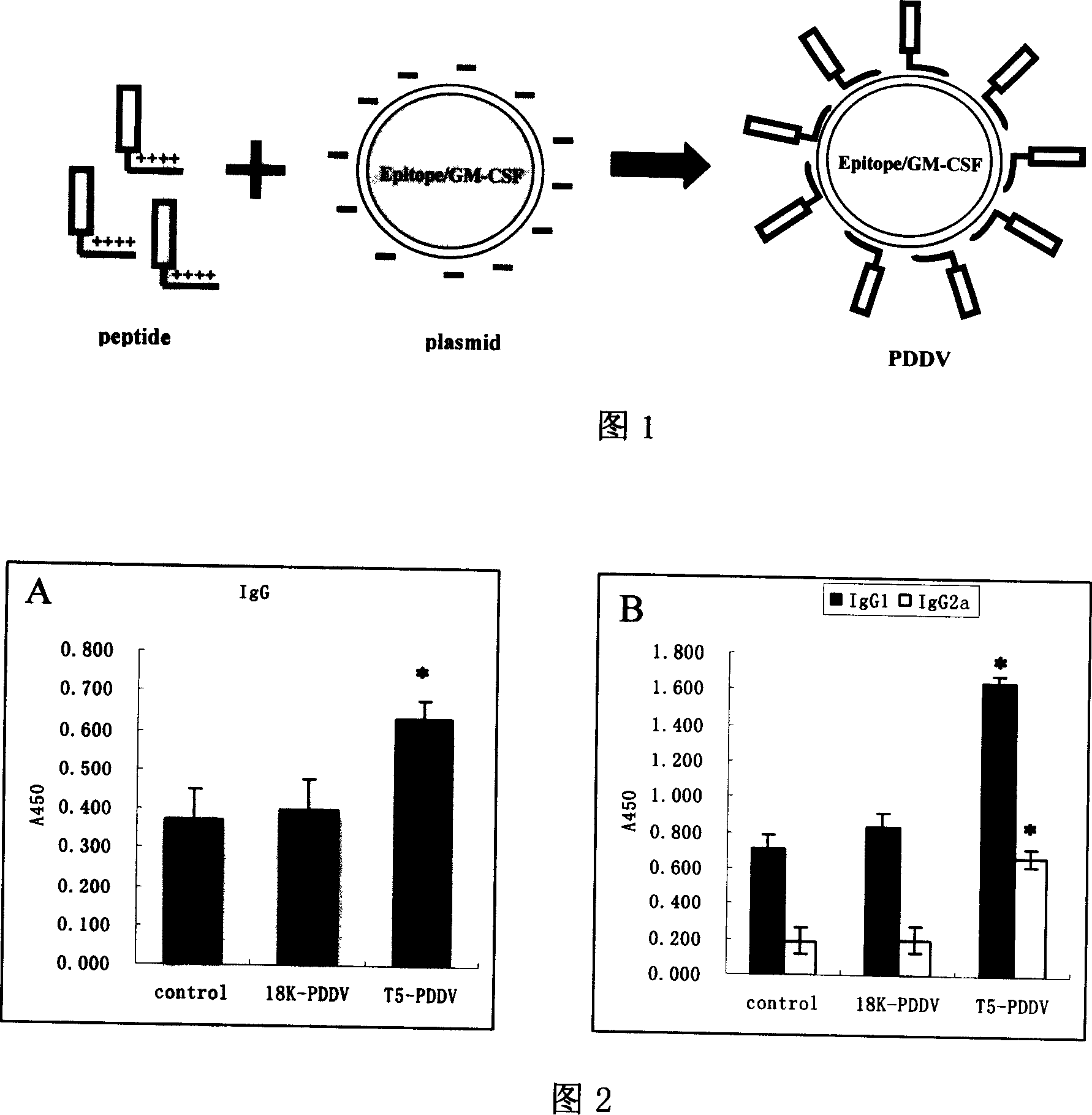 Peptide-DNA double vaccine based on T-cell epitope for anti-Schistosoma japonicum infection