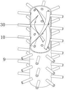 Wheat drying device for agricultural product processing