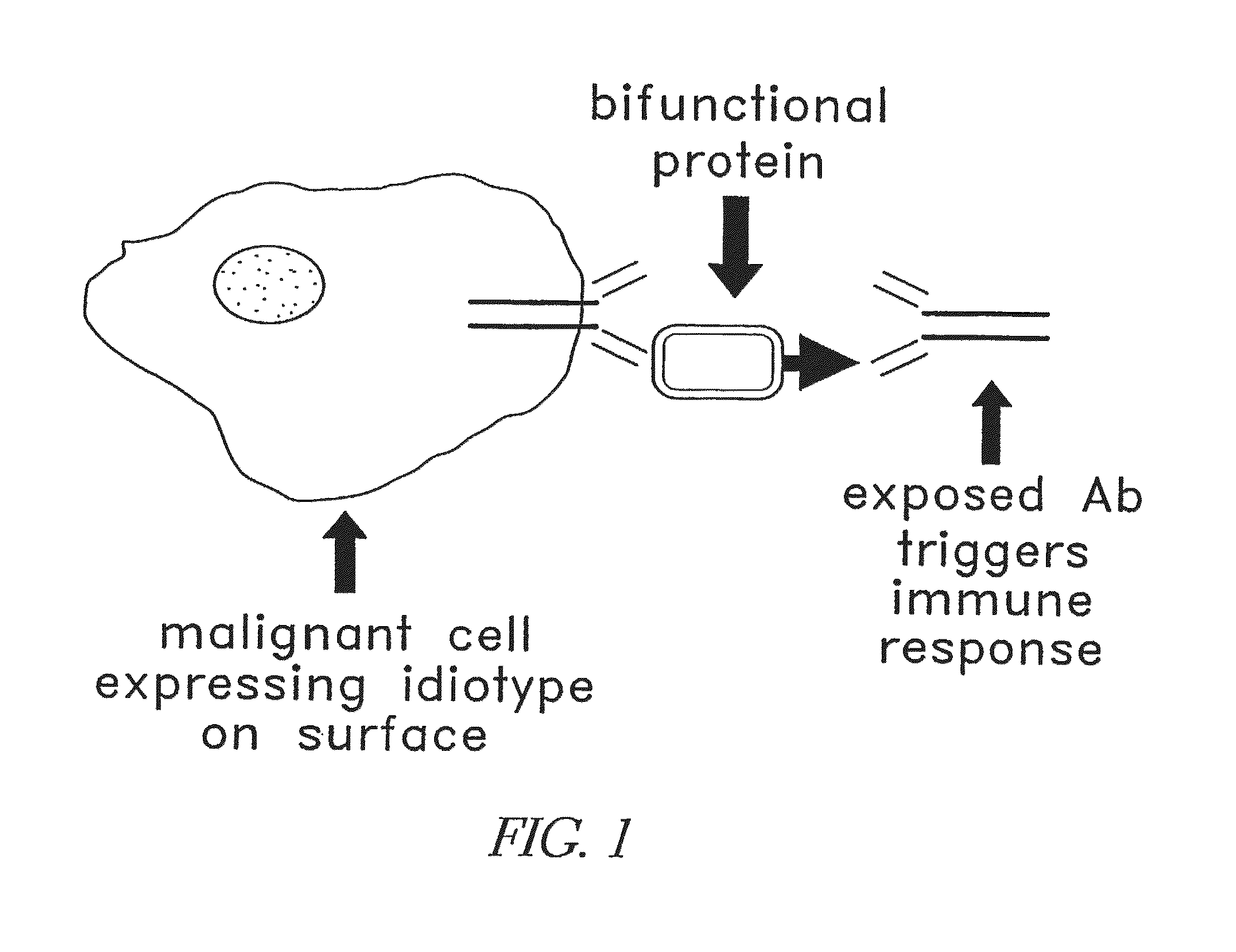 Method for making targeted therapeutic agents