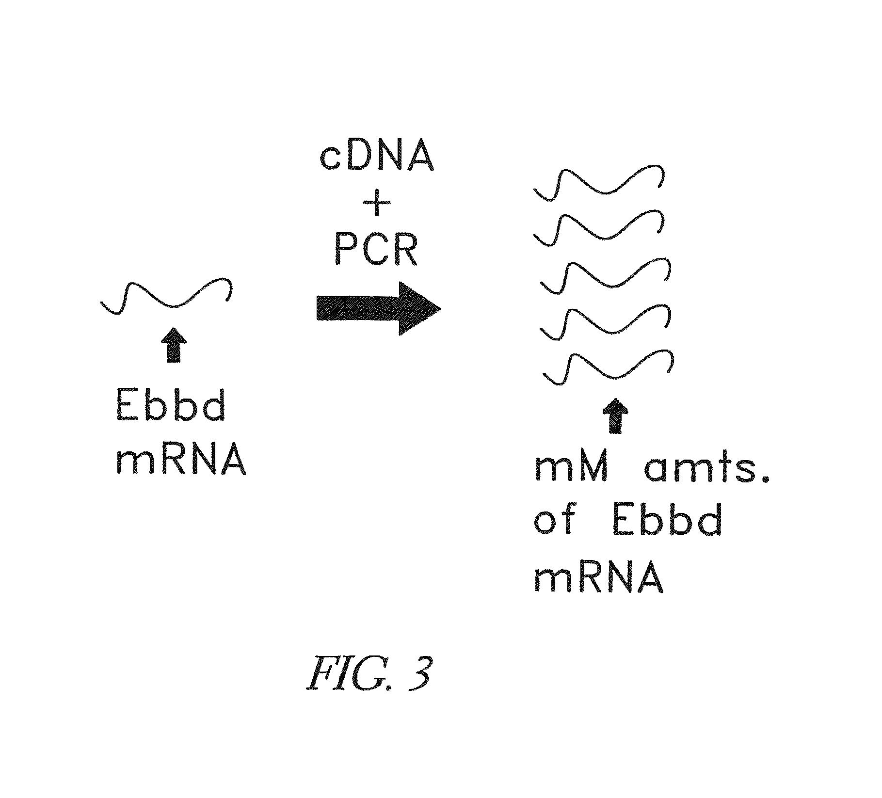 Method for making targeted therapeutic agents