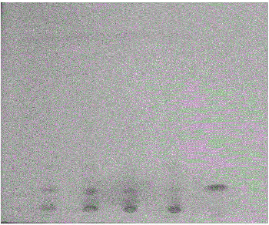 Method for identifying harpagoside in ginseng ultrafine powder