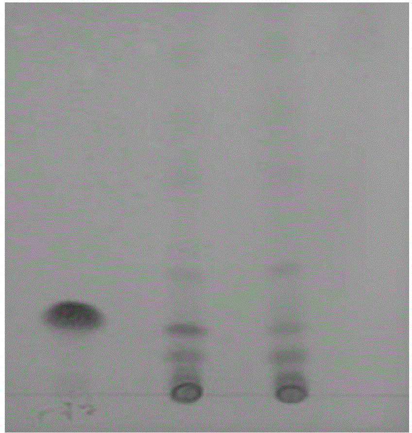 Method for identifying harpagoside in ginseng ultrafine powder