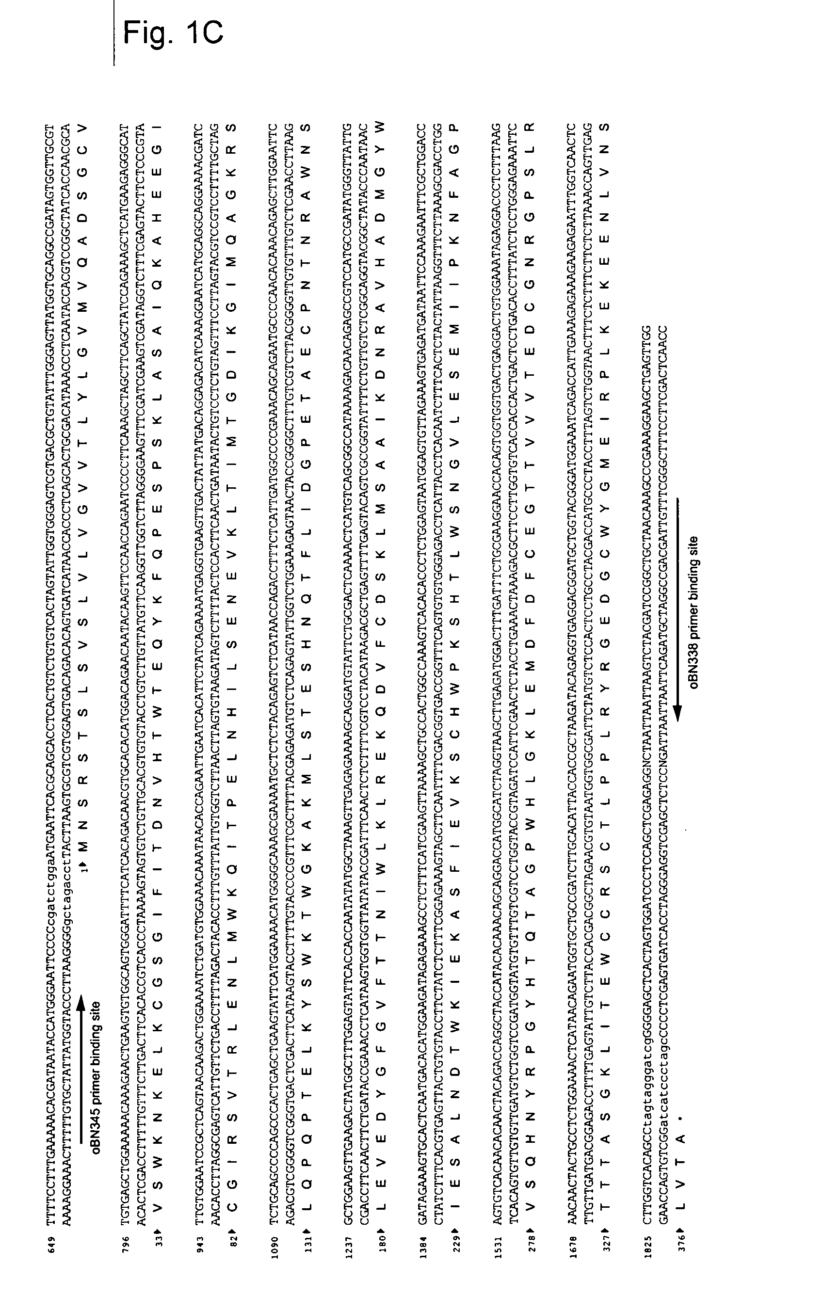 Flavivirus ns1 subunit vaccine