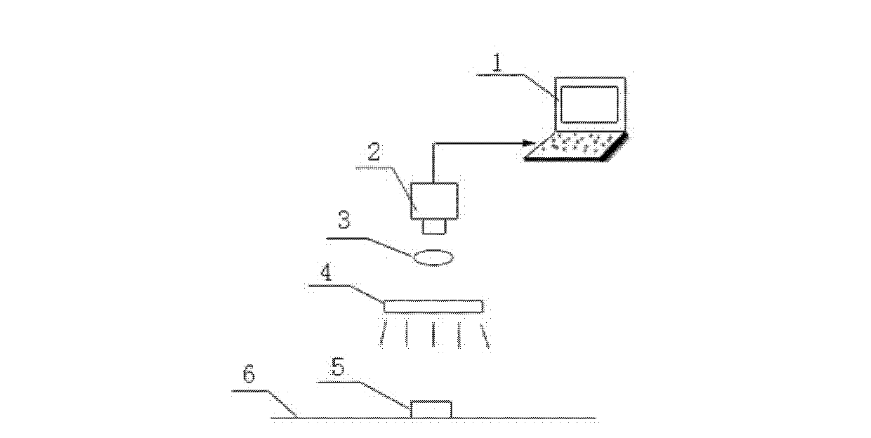 Automatic identifying and grading method for bamboo chips