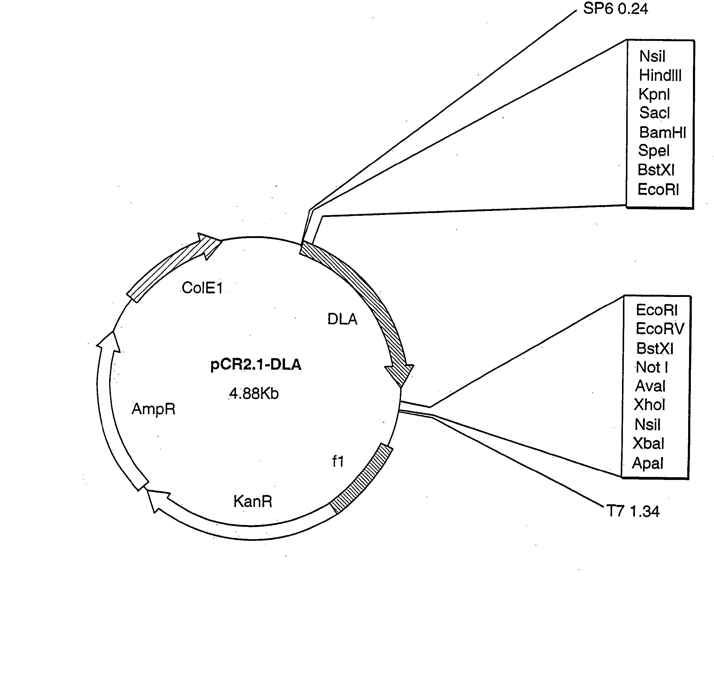 Lectin-derived progenitor cell preservation factors and methods of use