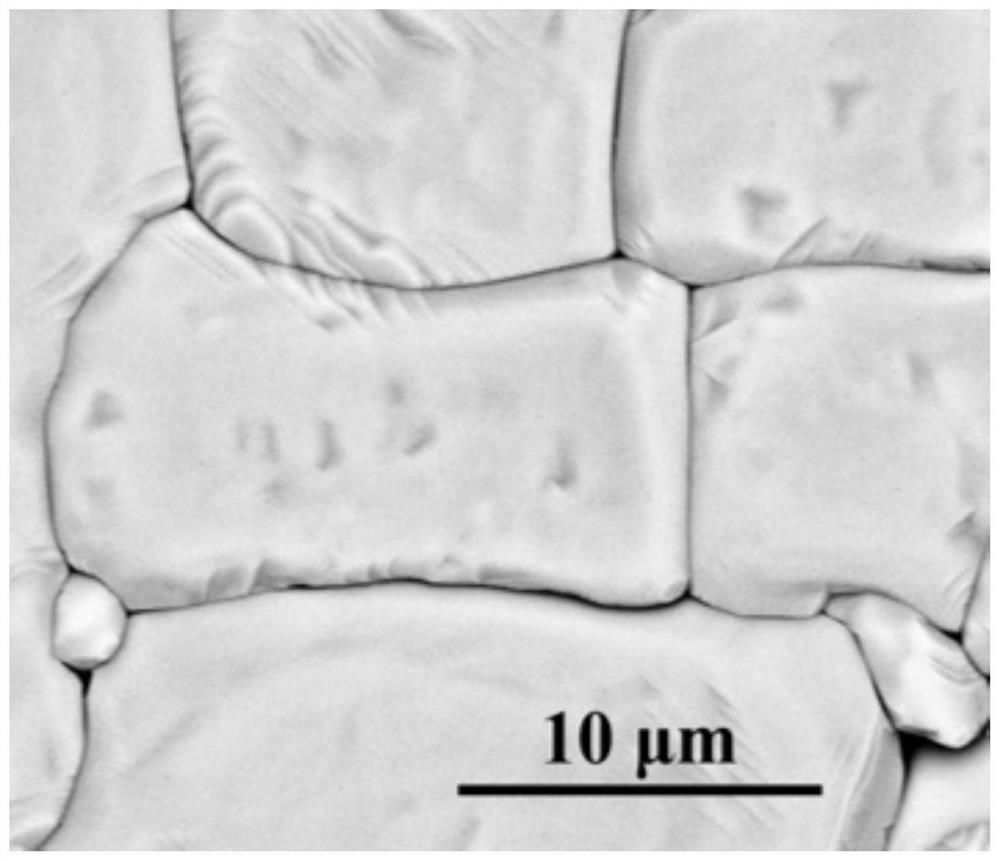 Tetragonal phase A and B site co-substituted lead-free piezoelectric textured ceramic with excellent temperature stability as well as preparation method and application of tetragonal phase A and B site co-substituted lead-free piezoelectric textured ceramic