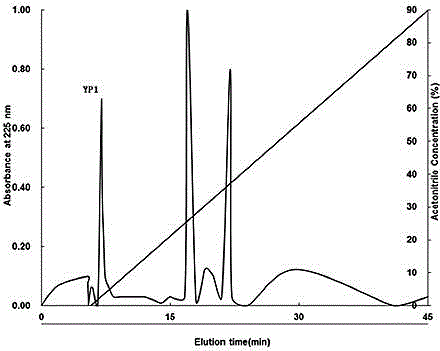 Antifreeze polypeptide prepared by utilizing alkaline protease to carry out enzymolysis on collagens from fish skins