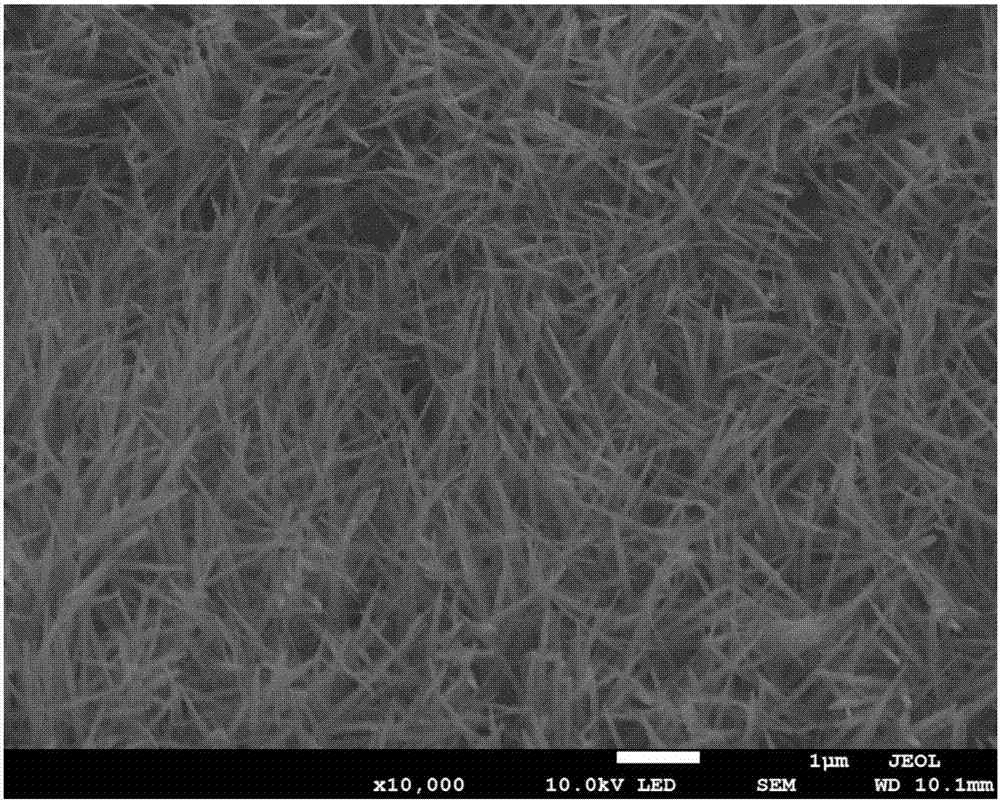 Preparation method for amorphous carbon positive electrode of lithium-air battery and lithium-air battery