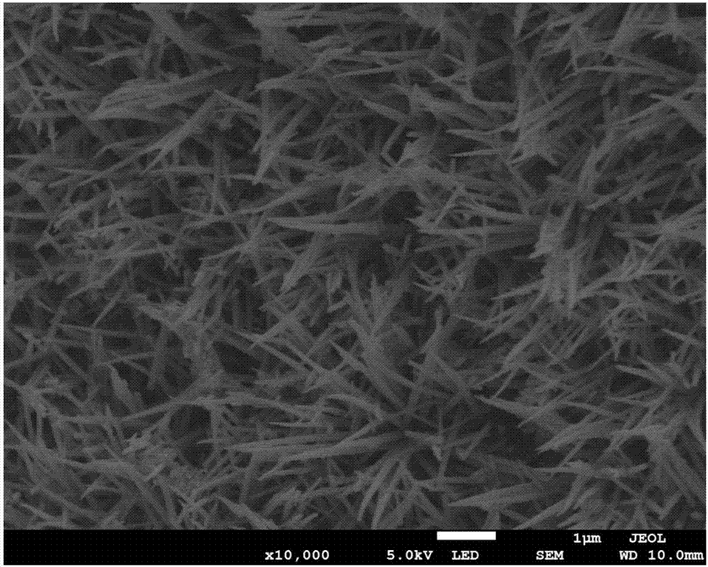 Preparation method for amorphous carbon positive electrode of lithium-air battery and lithium-air battery