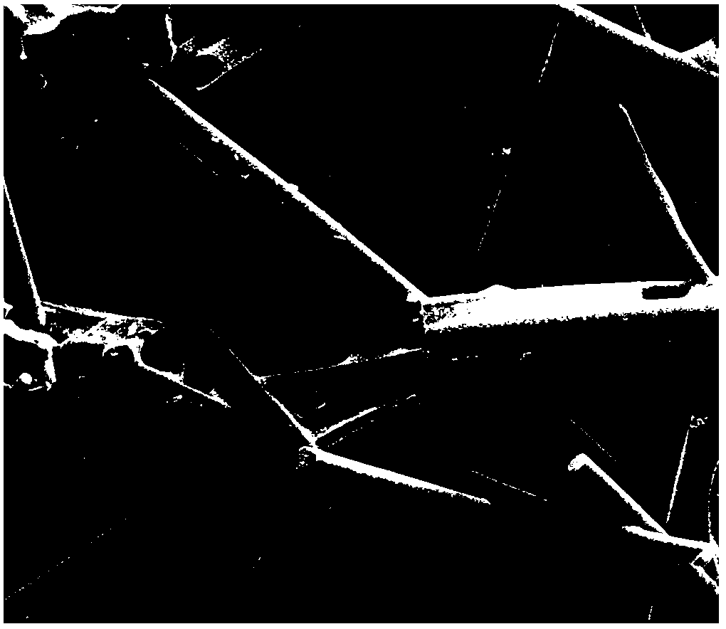 Preparation method of lightweight high-strength heat-insulating mullite fiber porous ceramic