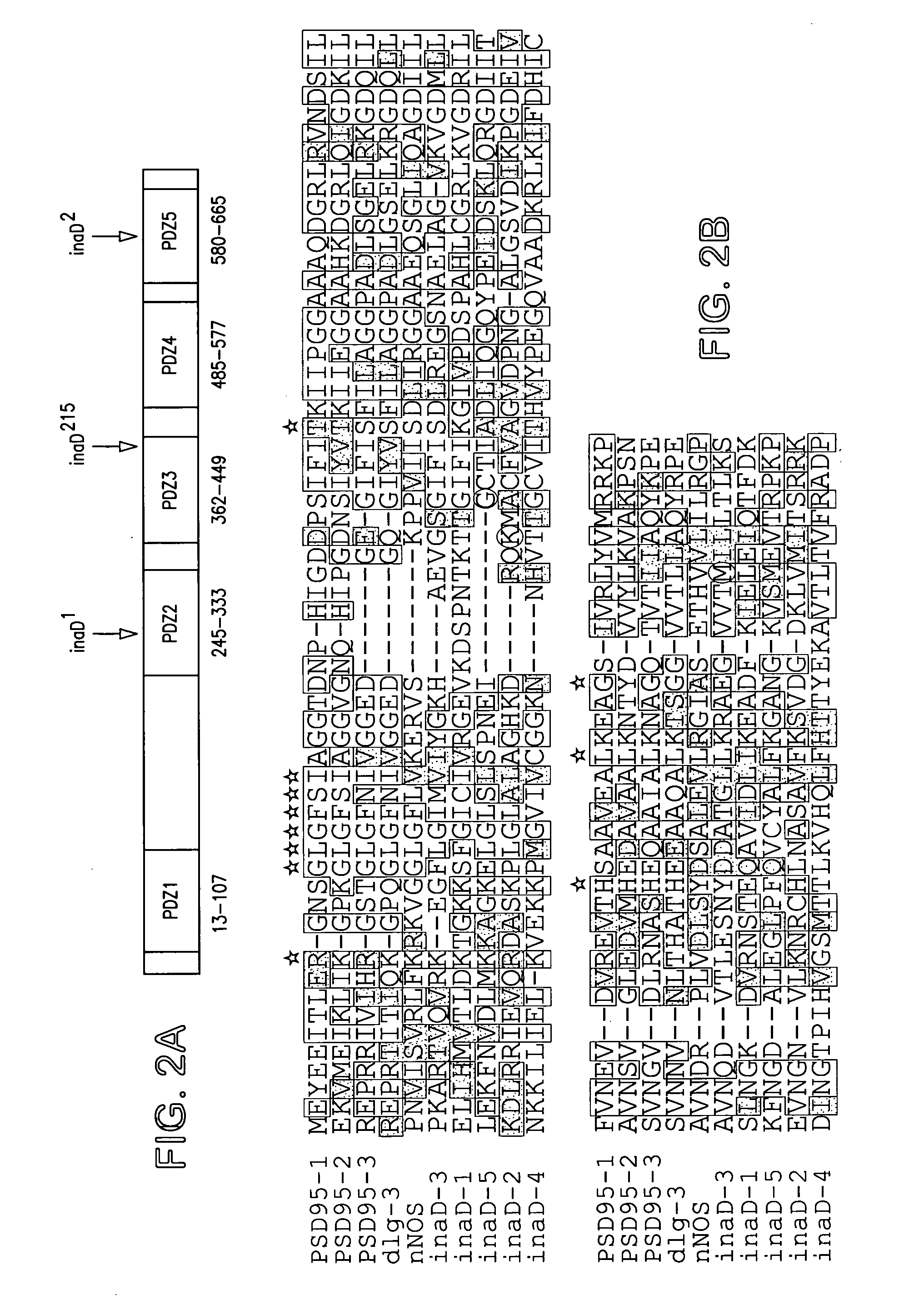 Compositions and methods for identifying modulators of transducisomes, a new class of therapeutic targets