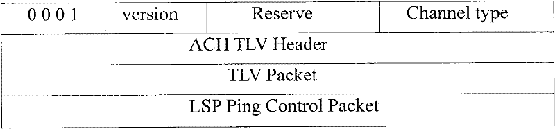 Fault positioning method and system for point 2 multiple point (P2MP) path