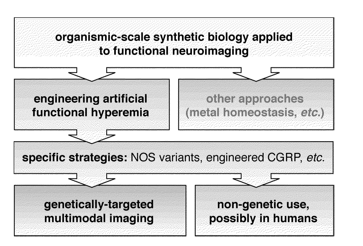 Molecular and cellular imaging using engineered hemodynamic responses