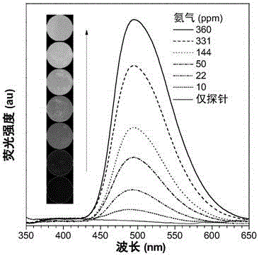 Aggregation-induced emission probe based on quinazolinones compound as well as preparation method and application of aggregation-induced emission probe