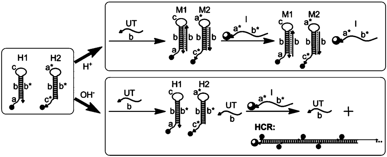 A triple-helix pH biosensor and application thereof